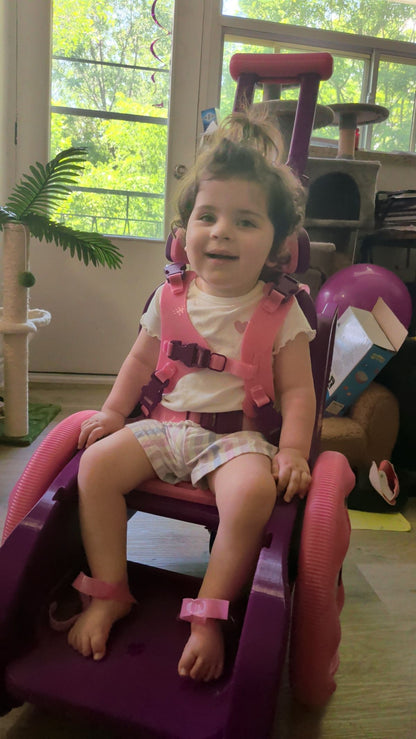 Toddler Mobility Trainer
